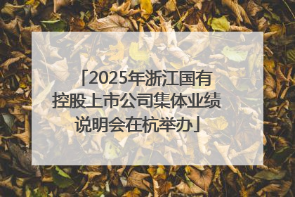 2025年浙江国有控股上市公司集体业绩说明会在杭举办