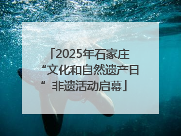 2025年石家庄“文化和自然遗产日”非遗活动启幕