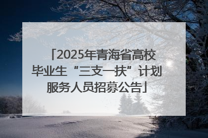 2025年青海省高校毕业生“三支一扶”计划服务人员招募公告