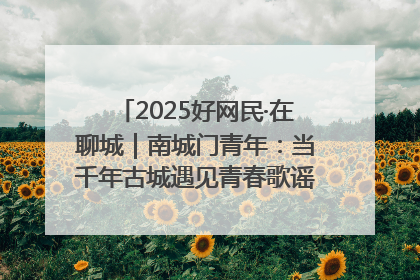 2025好网民·在聊城｜南城门青年：当千年古城遇见青春歌谣 一湖碧水见证的“聊城式浪漫”