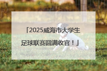 2025威海市大学生足球联赛圆满收官！