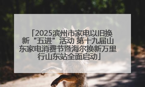2025滨州市家电以旧换新“五进”活动 第十九届山东家电消费节暨海尔换新万里 行山东站全面启动