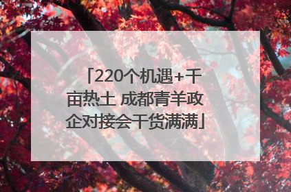 220个机遇+千亩热土 成都青羊政企对接会干货满满