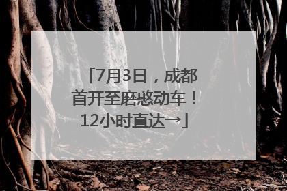 7月3日，成都首开至磨憨动车！12小时直达→