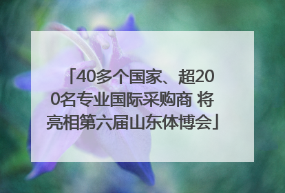 40多个国家、超200名专业国际采购商 将亮相第六届山东体博会