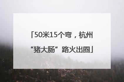 50米15个弯，杭州“猪大肠”路火出圈
