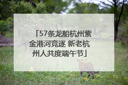 57条龙船杭州紫金港河竞逐 新老杭州人共度端午节