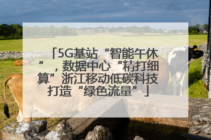 5G基站“智能午休”，数据中心“精打细算”浙江移动低碳科技打造“绿色流量”