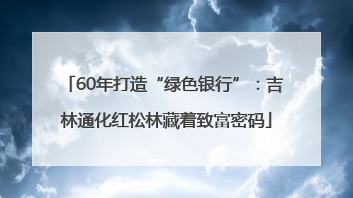 60年打造“绿色银行”：吉林通化红松林藏着致富密码