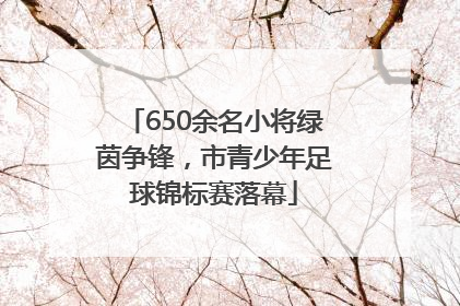 650余名小将绿茵争锋，市青少年足球锦标赛落幕