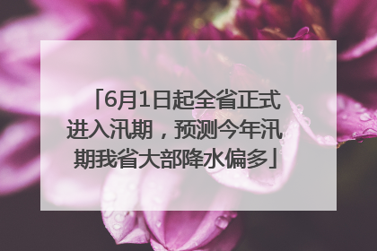 6月1日起全省正式进入汛期，预测今年汛期我省大部降水偏多
