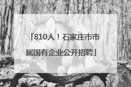 810人！石家庄市市属国有企业公开招聘