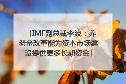 IMF副总裁李波：养老金改革能为资本市场建设提供更多长期资金