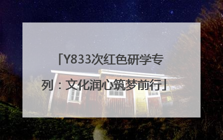 Y833次红色研学专列：文化润心筑梦前行